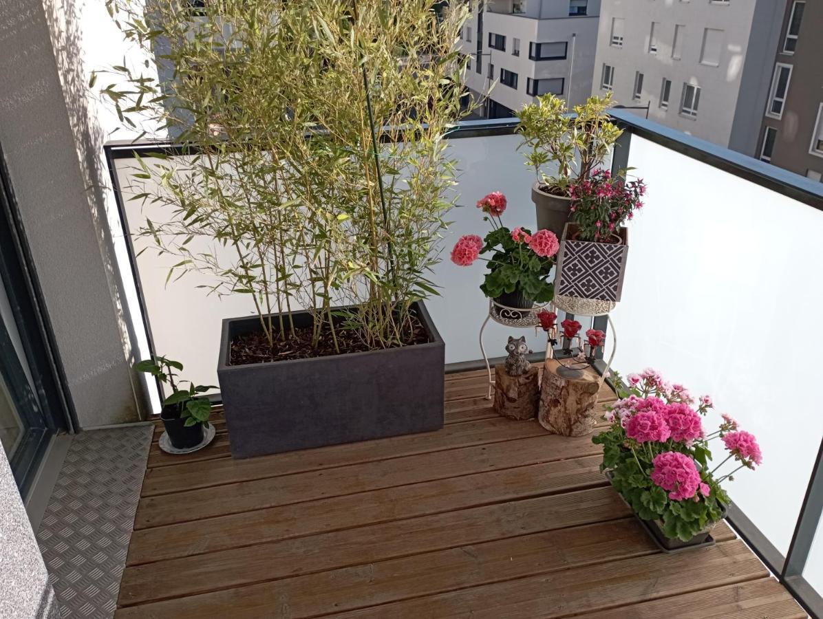 Chambre Nature Chez L'Habitant Strasbourg Eksteriør billede